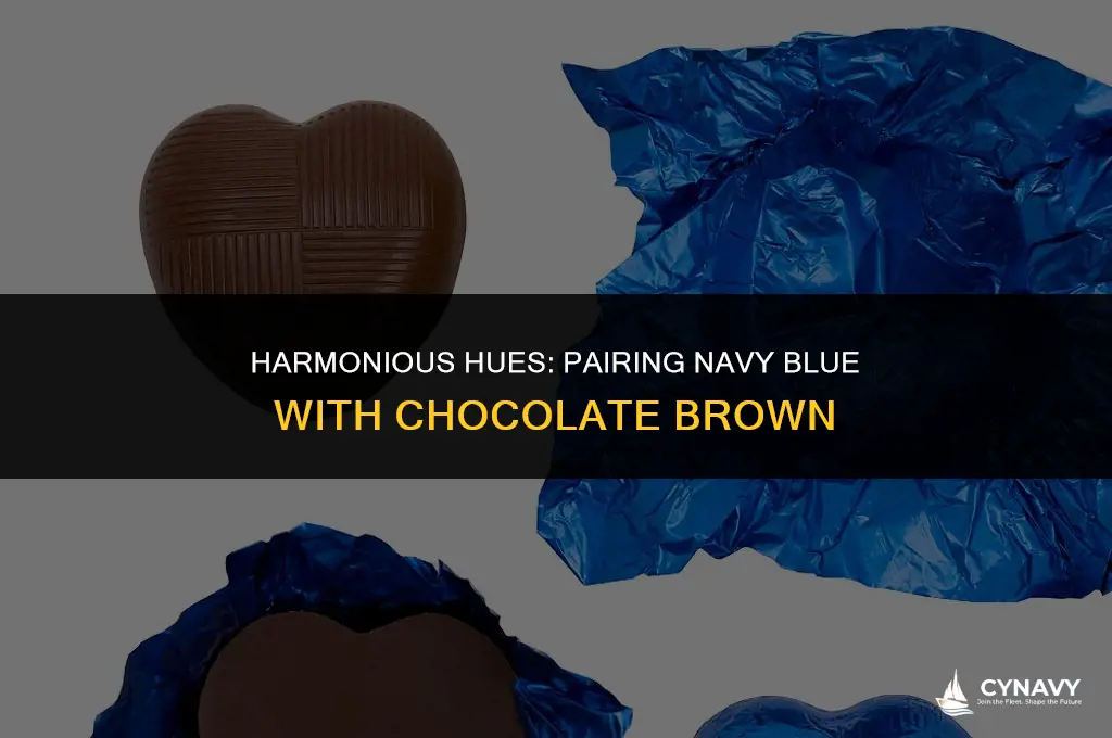 does navy blue go with chocolate brown