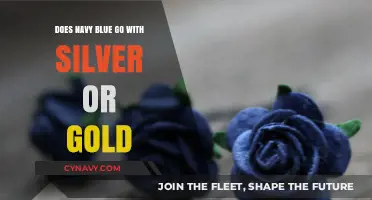 Elevate Your Style: Navy Blue's Perfect Match - Silver or Gold?