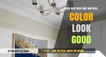 Elevate Your Style: Navy Blue, Grey, and Gold Color Harmony