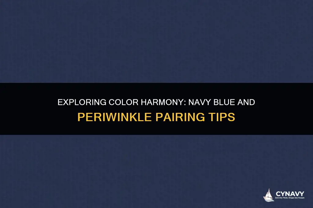 does navy blue pair with periwinkle color