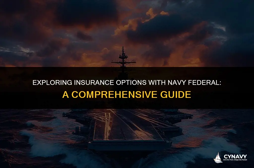does navy federal have insurance
