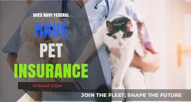 Exploring Pet Insurance Options with Navy Federal: A Comprehensive Guide