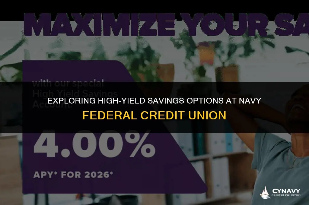 does navy federal offer a high yield savings account
