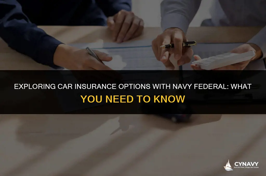 does navy federal offer car insurance