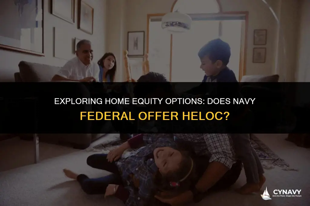 does navy federal offer heloc