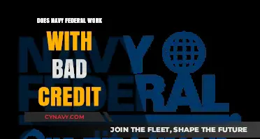 Exploring Navy Federal's Credit Options: A Guide for Those with Bad Credit