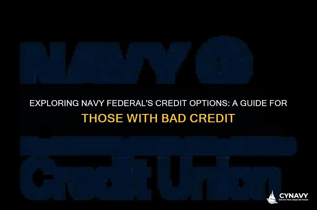 does navy federal work with bad credit