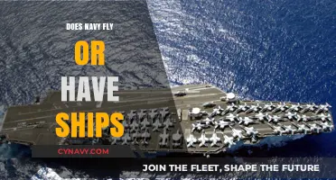 Exploring the Navy's Fleet: A Look at Ships and Aircraft