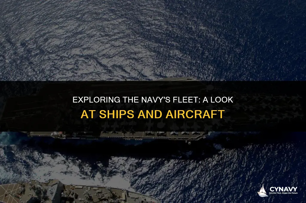 does navy fly or have ships