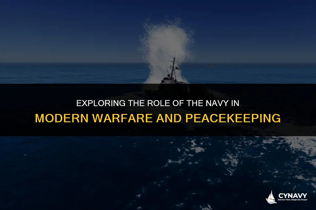 does navy go to war