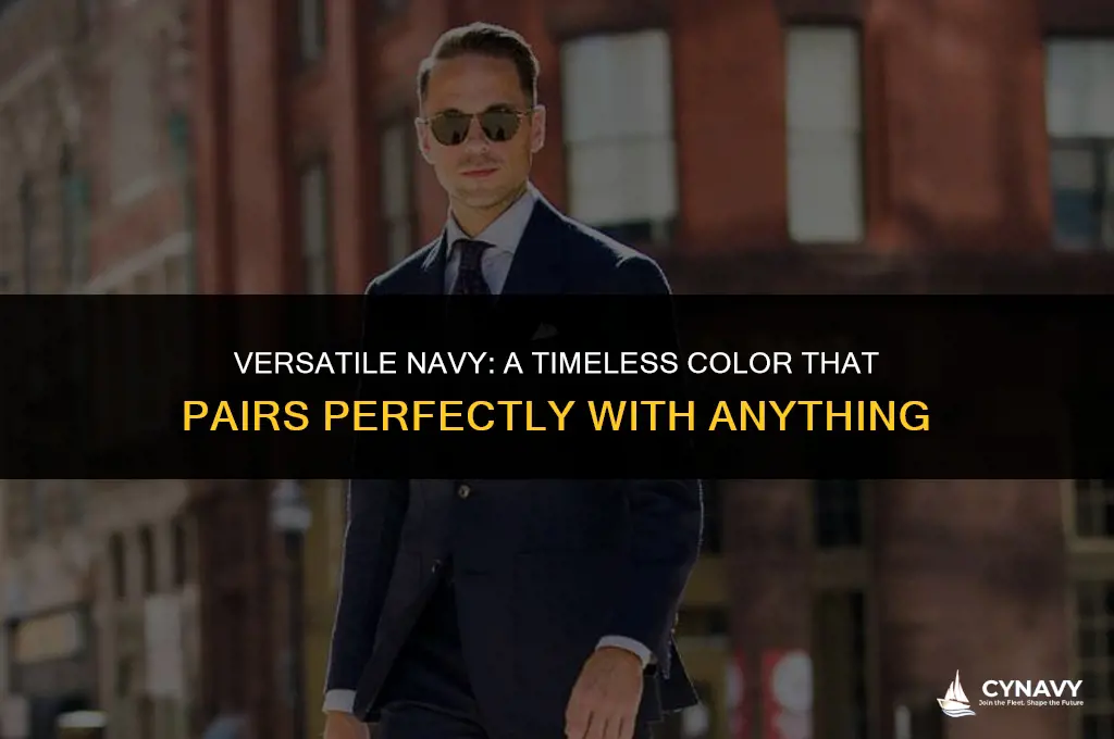 does navy go with anything