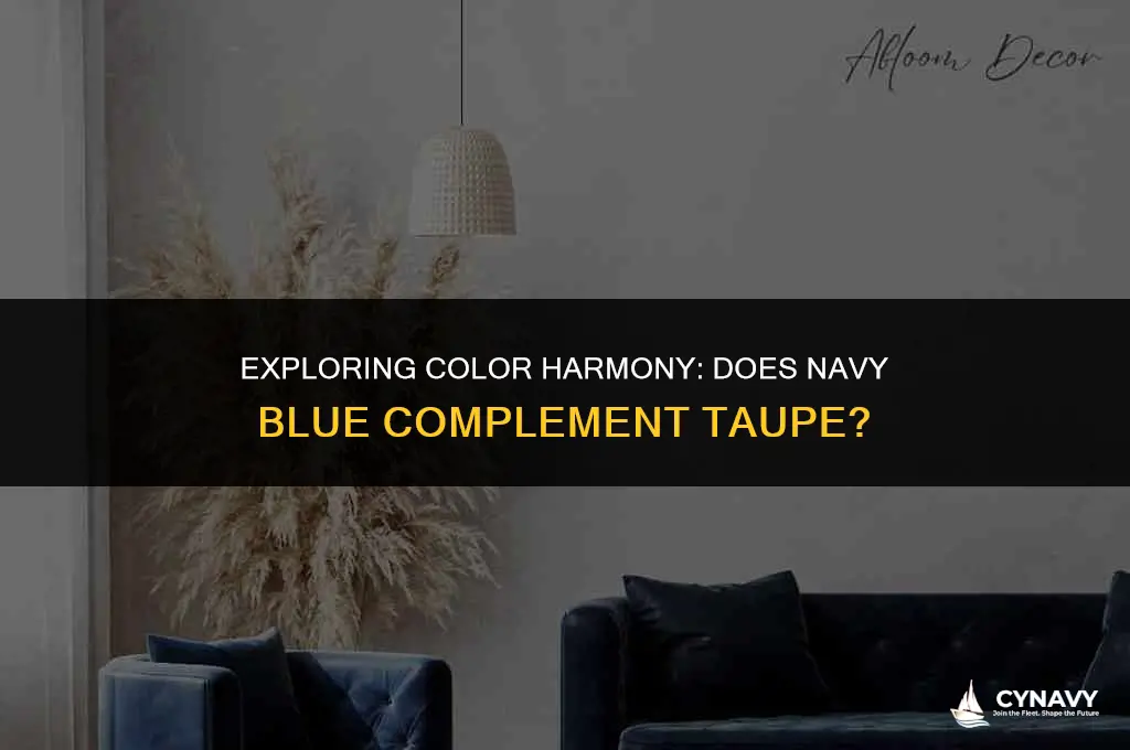 does navy go with taupe