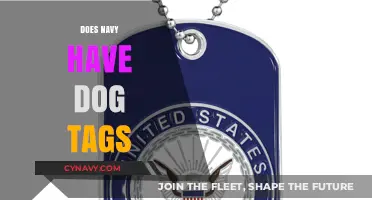 Unveiling the Truth: Do Navy Personnel Wear Dog Tags?