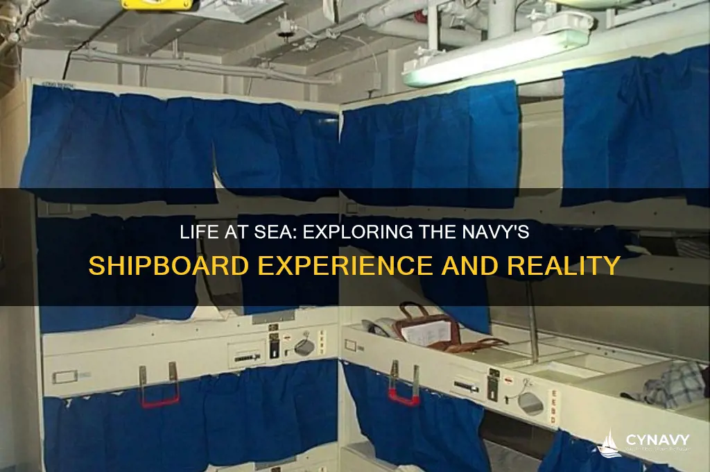 does navy it get to be on a ship