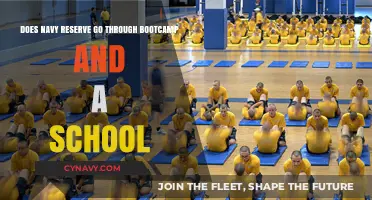 Understanding Navy Reserve Training: Boot Camp and Beyond
