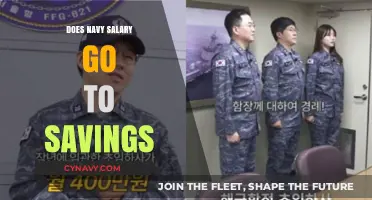 Smart Financial Planning: Can You Save on a Navy Salary?
