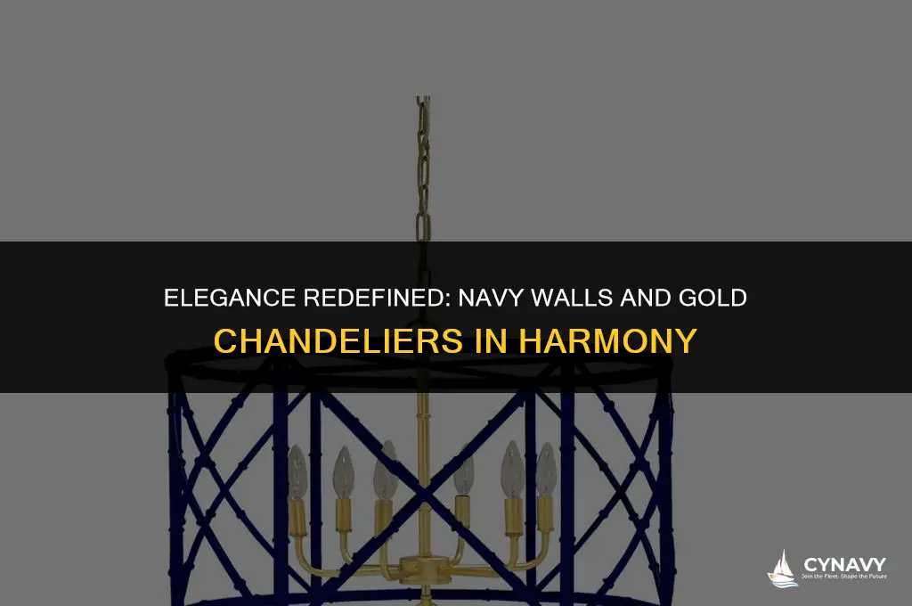 does navy wall and gold chanderlier go together