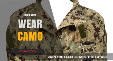 Blending In or Standing Out: The Navy's Camouflage Conundrum