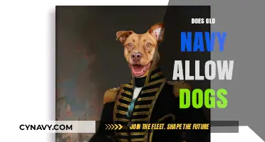 Paws and Shop: Exploring Old Navy's Pet Policy