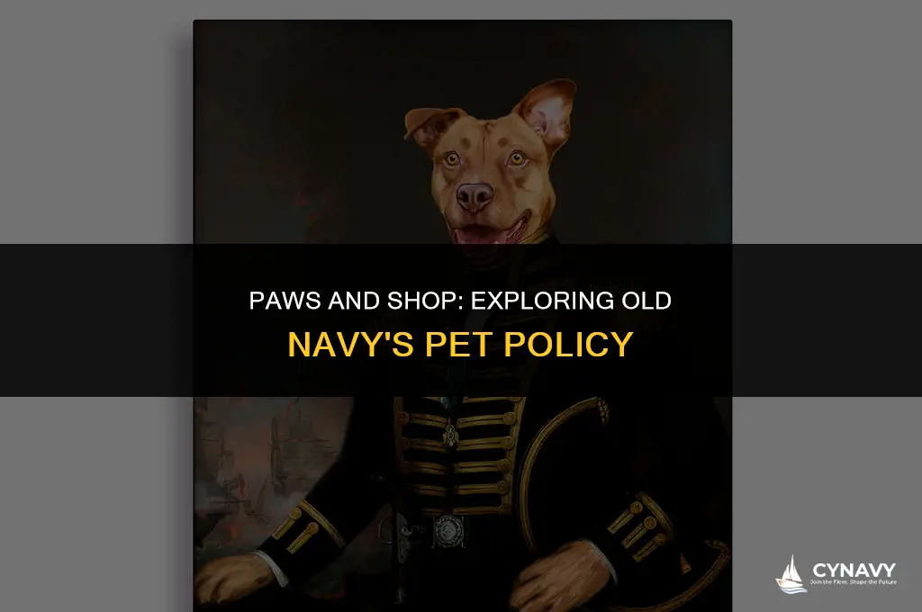does old navy allow dogs