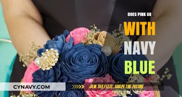 Exploring Color Harmony: Does Pink Really Go with Navy Blue?
