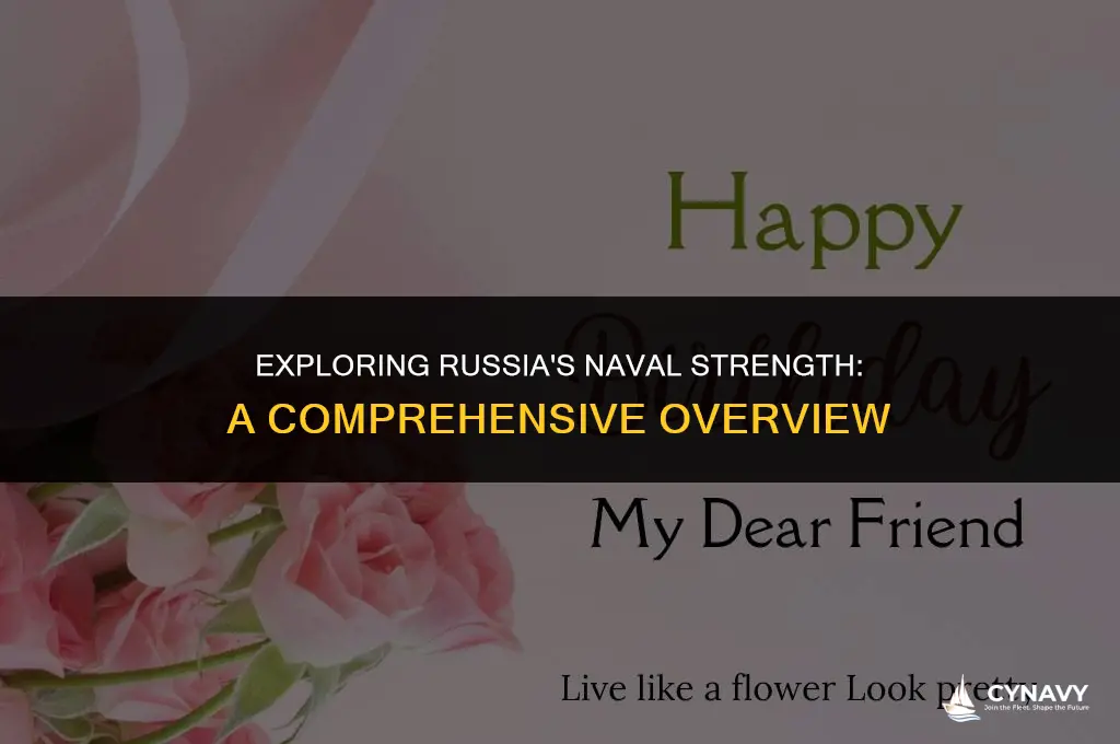 does russia have a navy