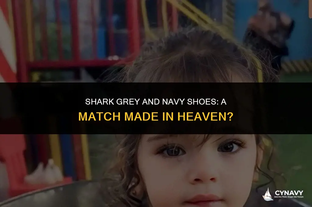does shark grey go with navy shoes