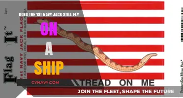 Exploring Maritime Traditions: The Enduring Legacy of the First Navy Jack