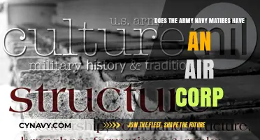 Exploring the Structure: Army, Navy, Marines, and the Air Corps