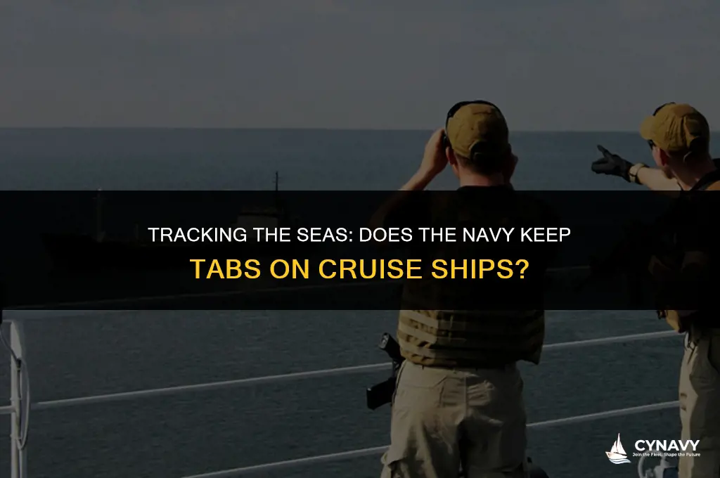 does the navy follow cruise ships