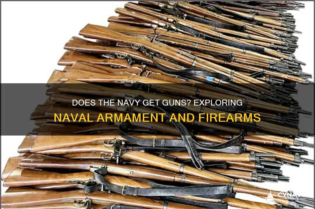 does the navy get guns