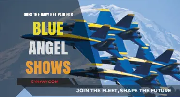 Do Blue Angels Performances Generate Revenue for the U.S. Navy?