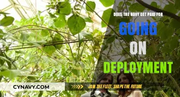 Understanding Deployment Pay: A Guide for Navy Personnel