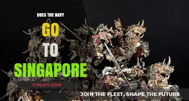 Exploring Naval Presence: Singapore's Strategic Importance Revealed