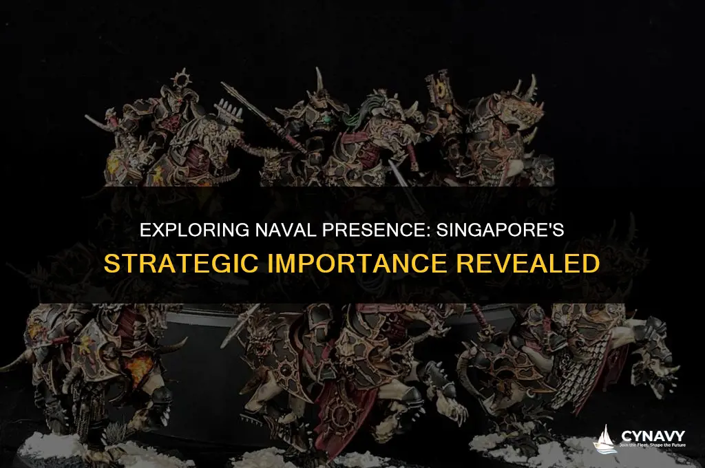 does the navy go to singapore
