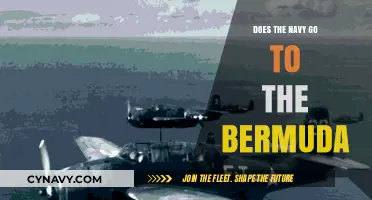 Exploring the Bermuda Triangle: Navy Expeditions and Maritime Mysteries