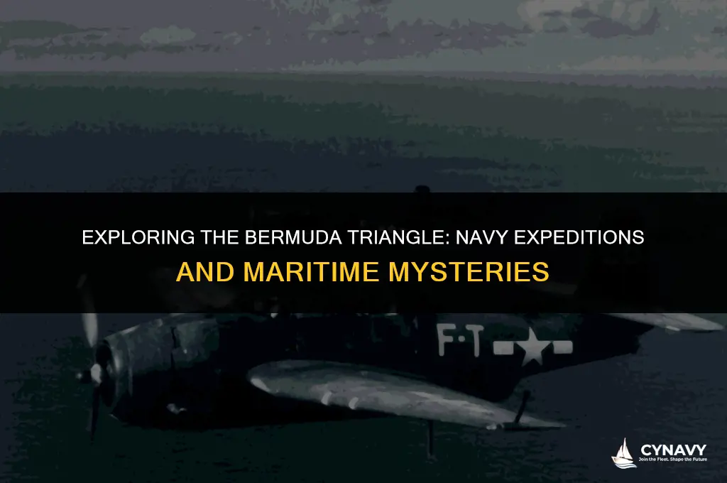 does the navy go to the bermuda