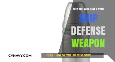 Exploring the Navy's Arsenal: The Presence of 22lr in Ship Defense