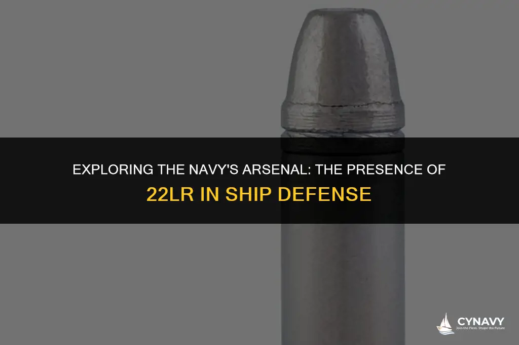 does the navy have a 22lr ship defense weapon