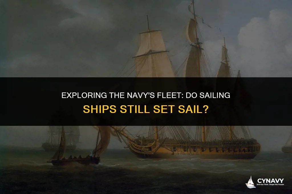 does the navy have a sailing ship