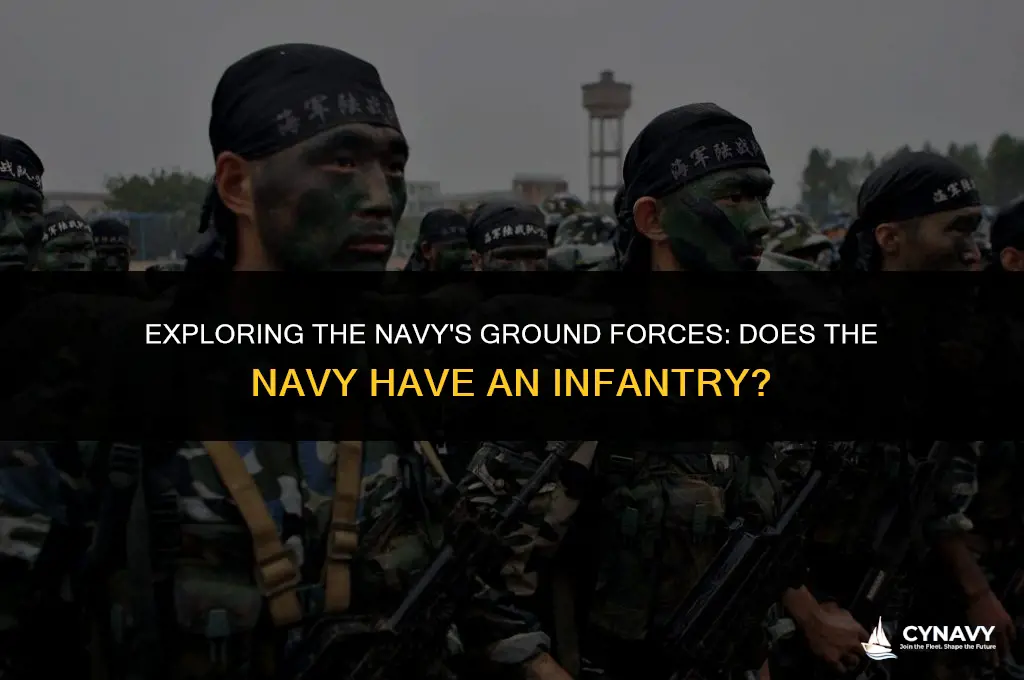 does the navy have an infantry