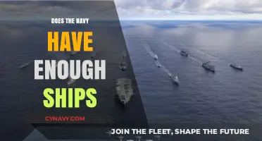 Is the Navy's Fleet Size Adequate for Modern Maritime Challenges?