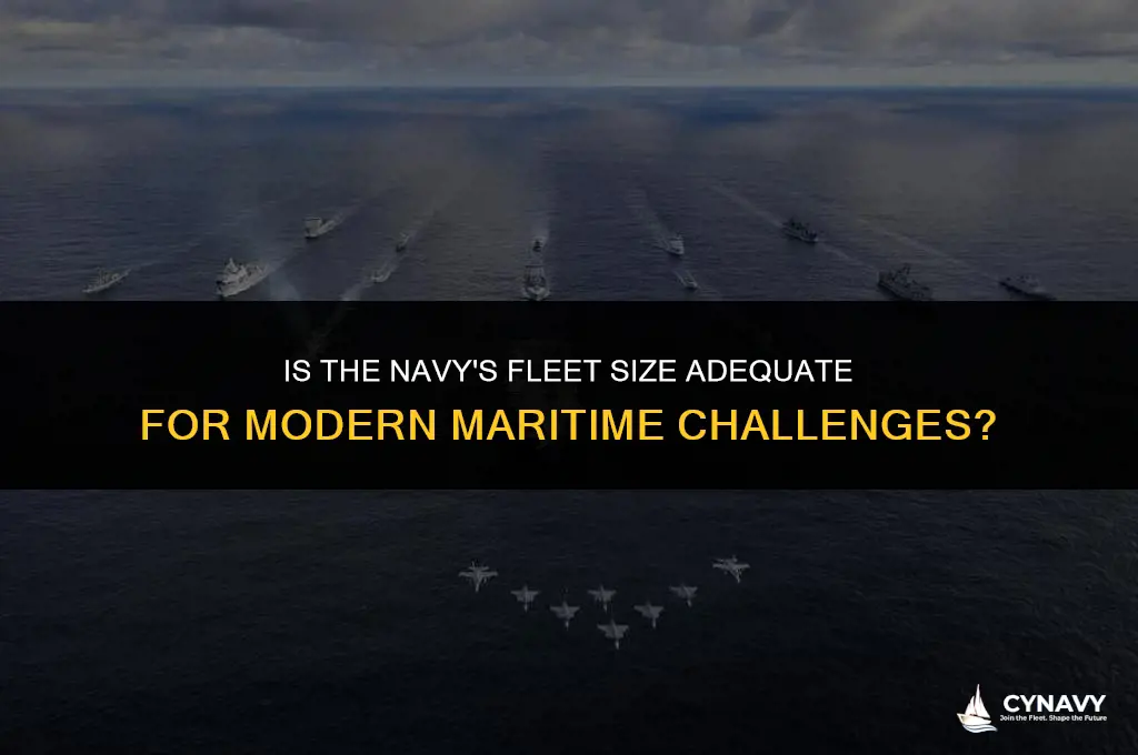 does the navy have enough ships
