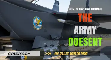 Exploring Naval Munitions: Capabilities Beyond the Army's Arsenal