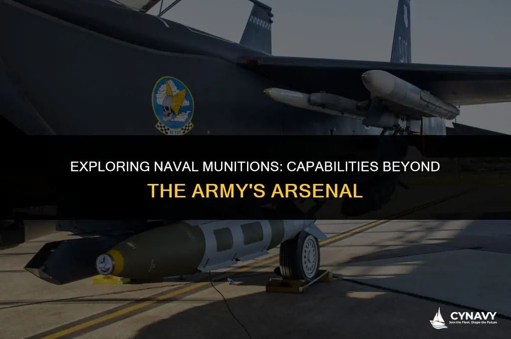 does the navy have munision the army doesent