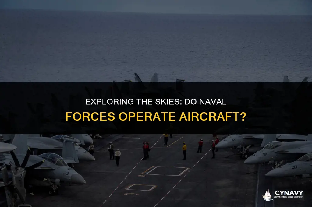 does the navy have planes