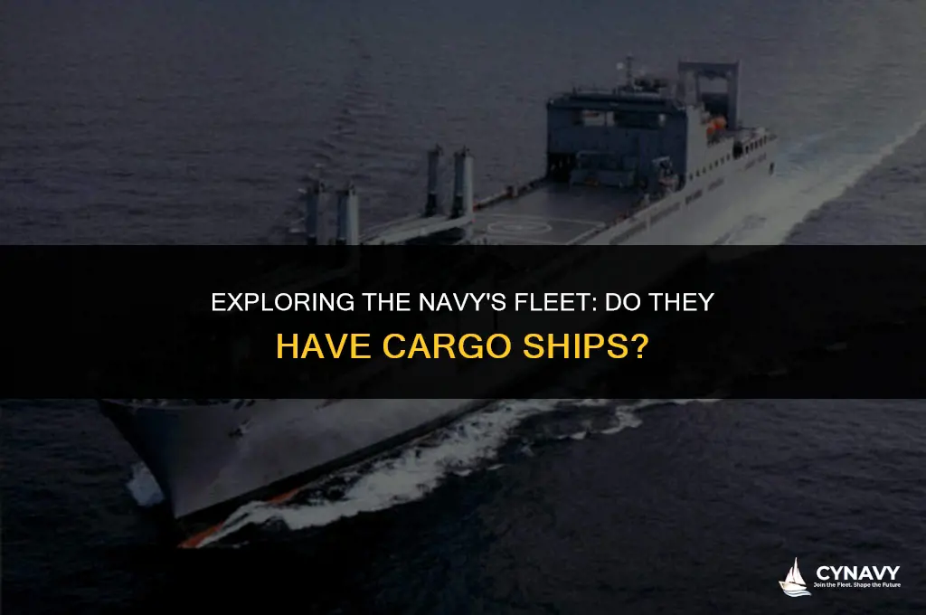 does the navy have ships for cargo