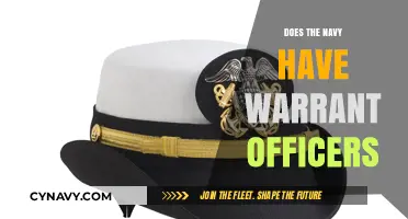 Exploring the Role of Warrant Officers in the Navy
