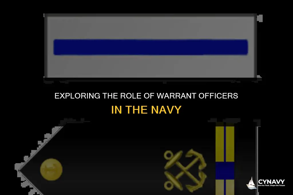 does the navy have warrant officers