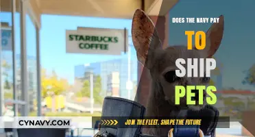 Navigating Pet Transportation Costs in the Navy: What You Need to Know